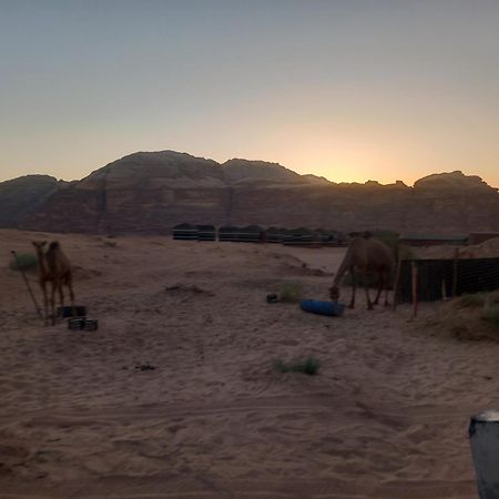 Bedouin Host Camp& With Tour Hotel วาดิรัม ภายนอก รูปภาพ