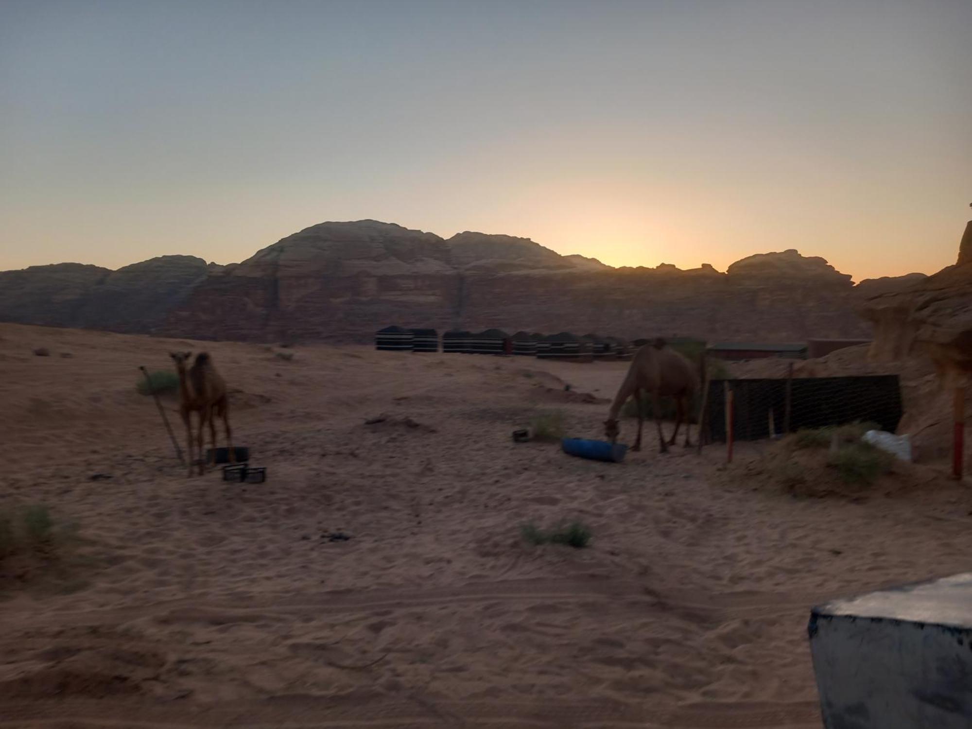 Bedouin Host Camp& With Tour Hotel วาดิรัม ภายนอก รูปภาพ